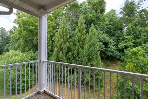 a view of the woods from the balcony of a home