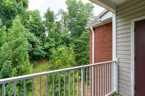 the view from the balcony of a house overlooking the woods