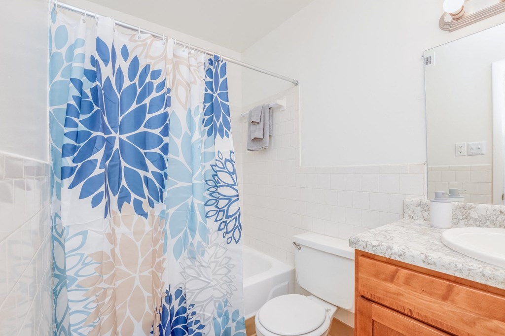 a bathroom with a blue and white shower curtain