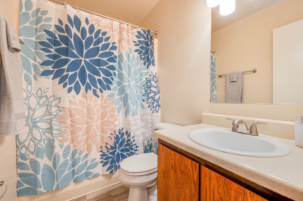 a bathroom with a shower curtain and a sink and a toilet