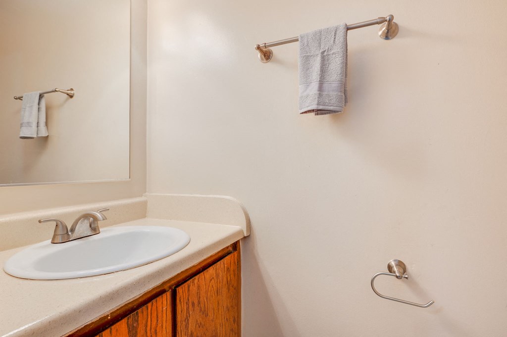 a bathroom with a sink and a mirror and a towel rack