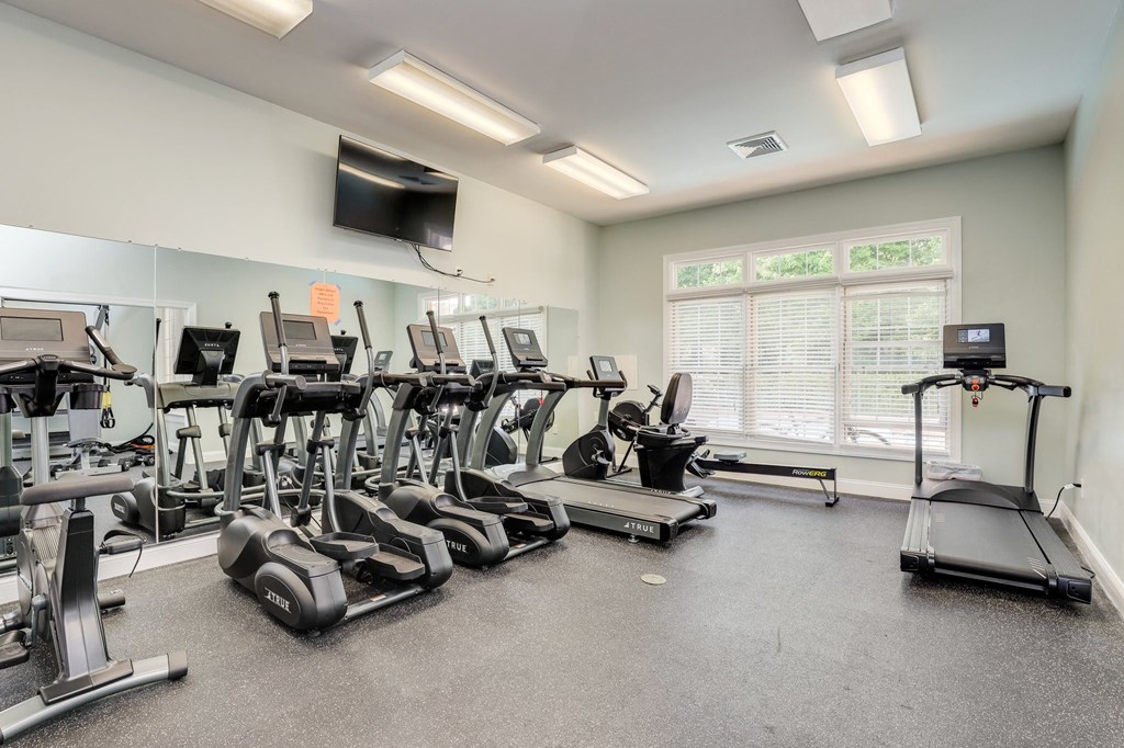 the gym is equipped with state of the art cardio equipment and free weights