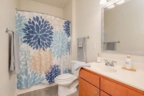 a bathroom with a shower curtain and a sink and a toilet