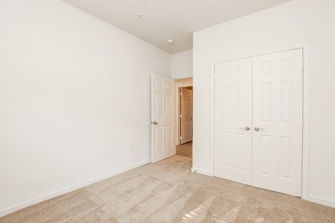 a bedroom with two closets and a door to a hallway