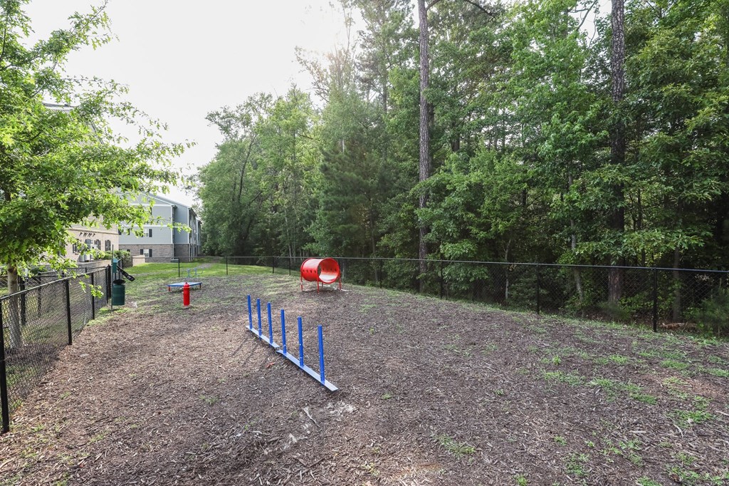 the yard is fenced in and has a batting cage and a seesaw