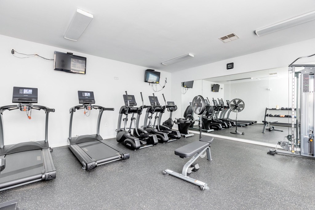the gym has cardio equipment and treadmills in it