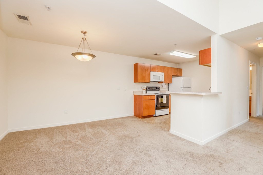 a kitchen and living room with white walls and carpeted floors