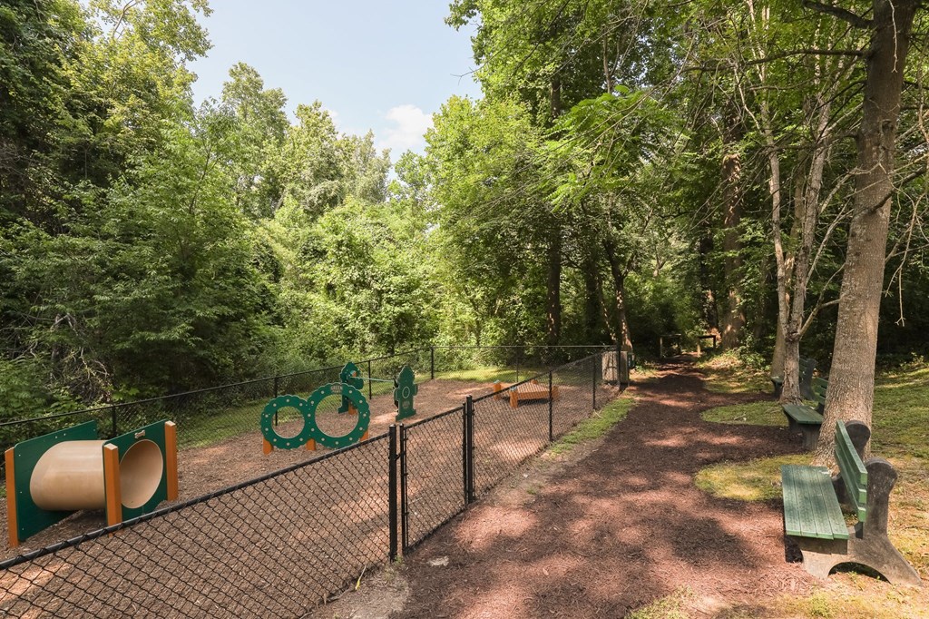 a park with a chain link fence and benches and trees