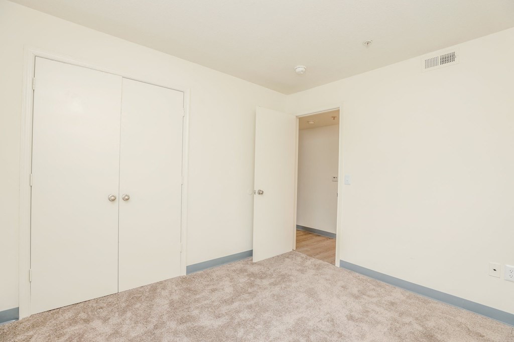 a bedroom with two closets and a carpeted floor