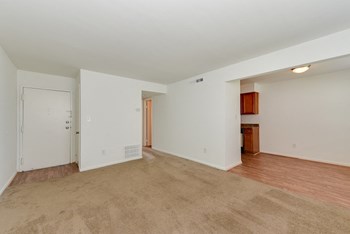 3148 Azalea Garden Road, #A101 1 Bed Apartment for Rent - Photo Gallery 4