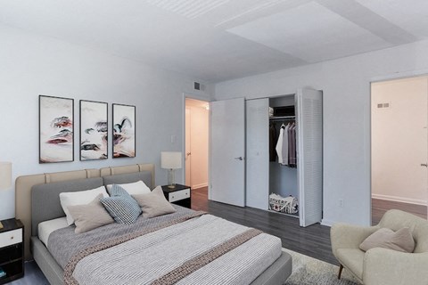 a bedroom with a bed and a closet