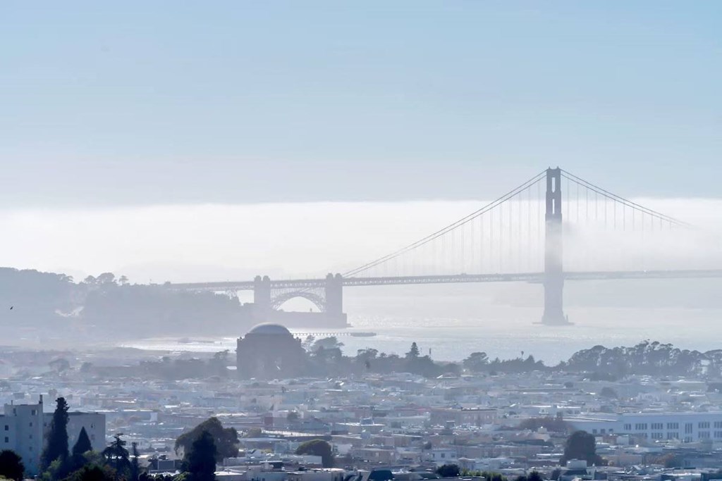 a view of the golden gate bridge from above the city