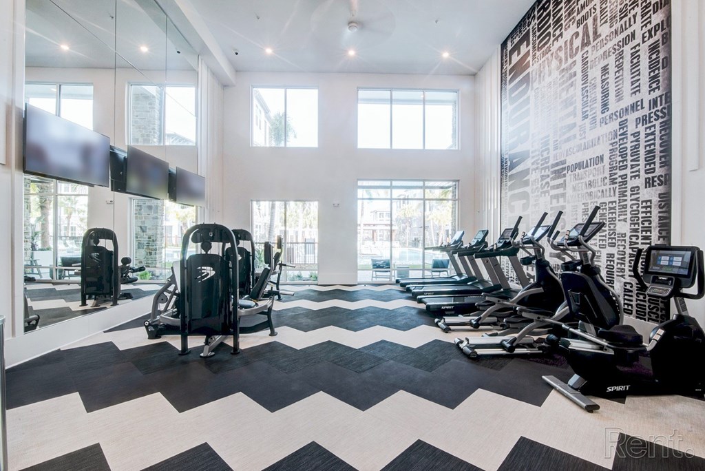 24-fitness center with cardio and resistance equipment. 24-fitness center with cardio and resistance equipment at Tapestry Nona Apartments in Orlando, FL