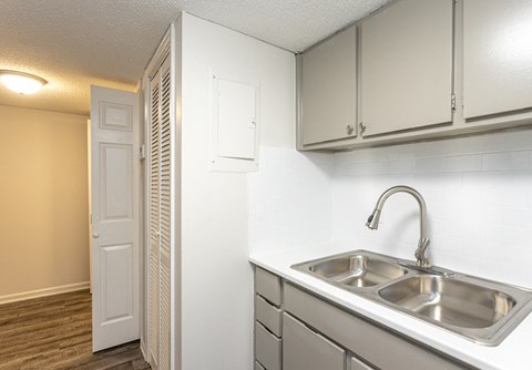 Stainless Steel Sink With Faucet In Kitchen at The Reserve at Wynwood Apartments, Alabama, 35055