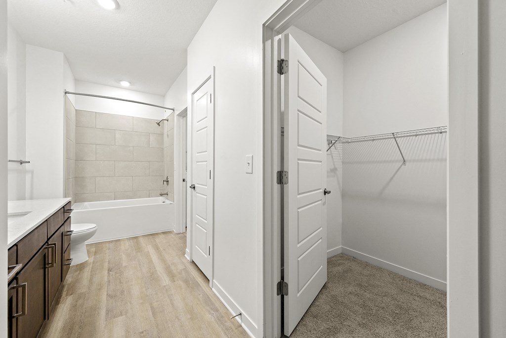 bathroom with walk-in closet at Tapestry Overbrook in McDonough, Georgia