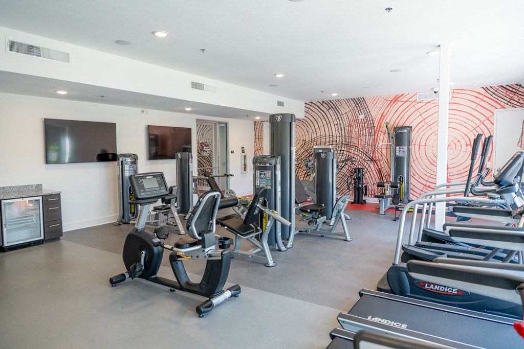 a gym with cardio equipment and a wall with a painting of red spirals at 20 Midtown, Alabama, 35233