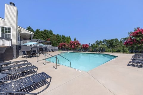 A large outdoor swimming pool surrounded by lounge chairs and trees.