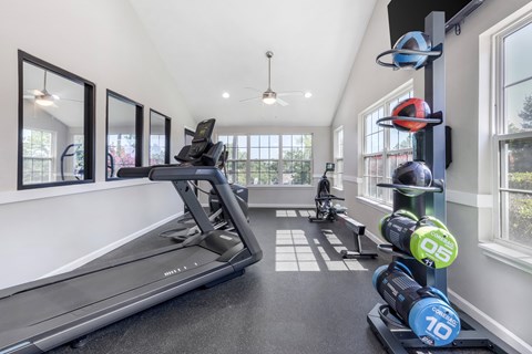 A home gym with a treadmill, weights, and mirrors.