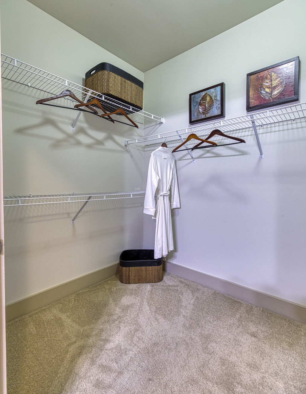 Spacious closets with shelving at 4700 Colonnade Apartments in Birmingham, AL
