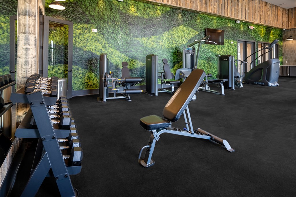 a gym with a green wall covered in vines