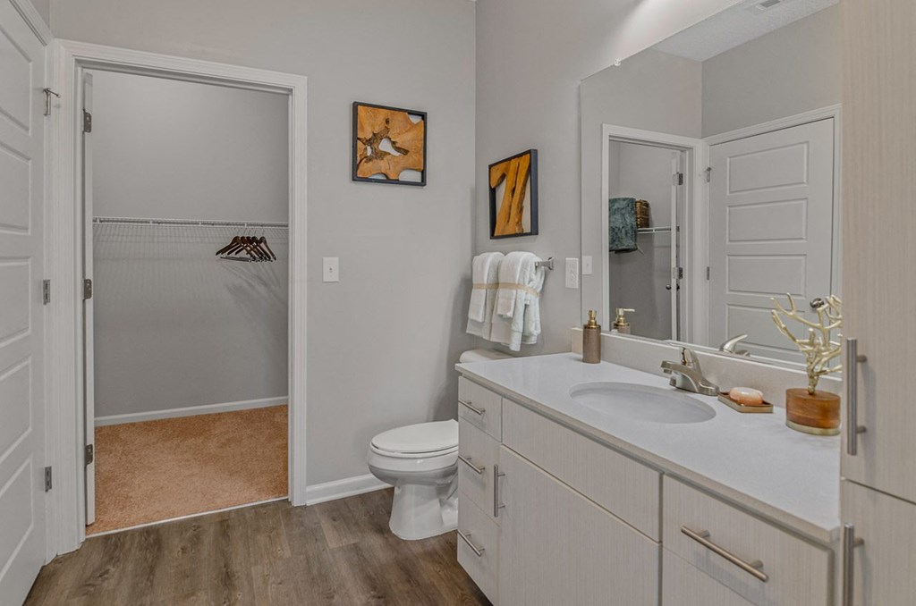 a bathroom with a sink and a toilet and a shower