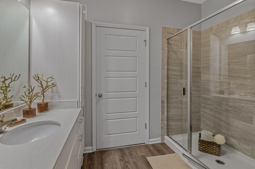 a bathroom with a sink and a shower