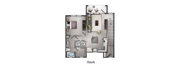 Hawk