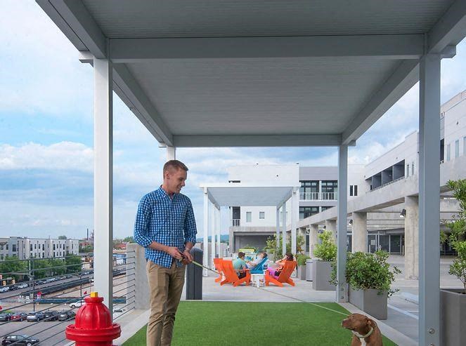 a man is walking a dog on a roof