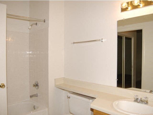 a bathroom with a white sink and a mirror