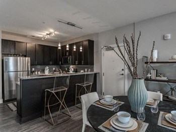 1508 4th Avenue South Studio-2 Beds Apartment for Rent - Photo Gallery 2