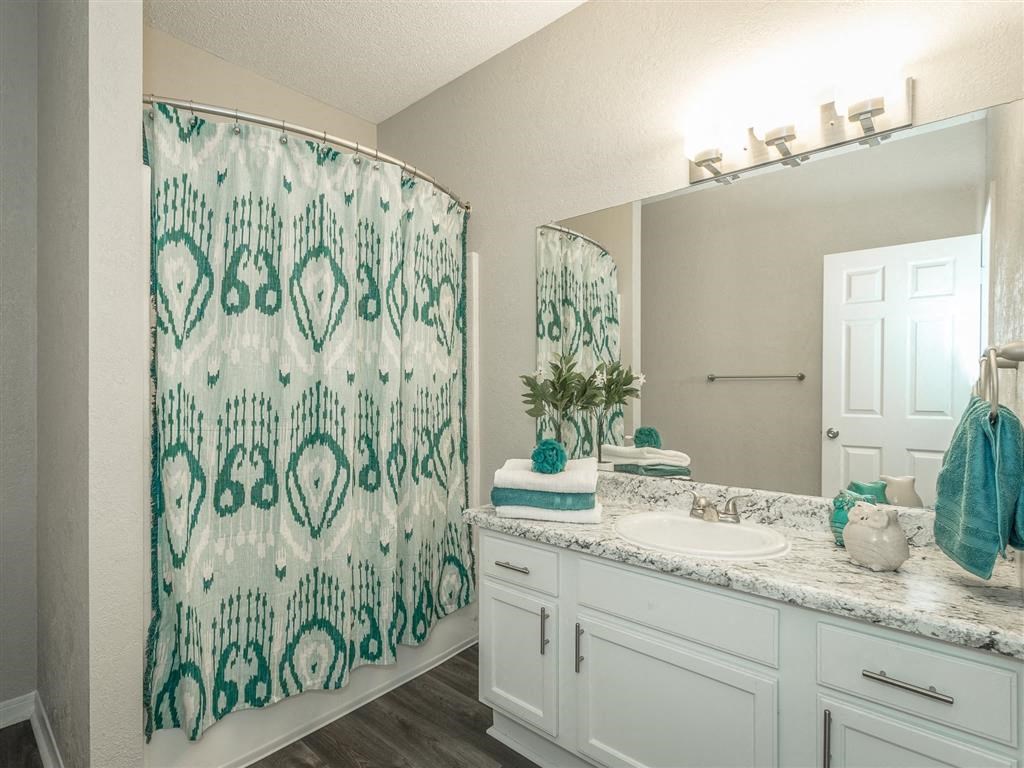 a bathroom with a sink and a shower and a mirror
