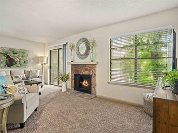133 Lake Front Drive 1-2 Beds Apartment for Rent - Photo Gallery 4