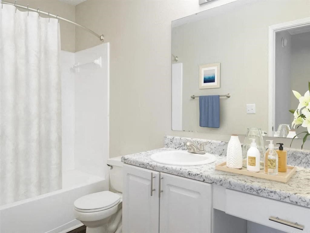 a bathroom with a sink and a toilet and a shower