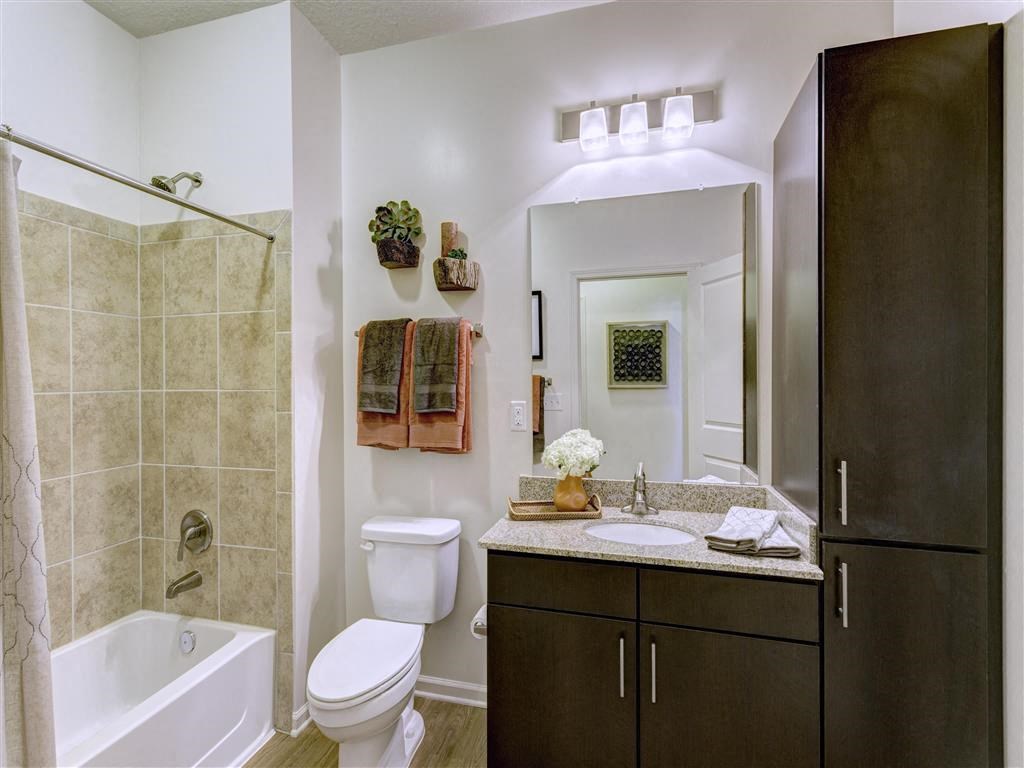a bathroom with a shower toilet and sink and a mirror