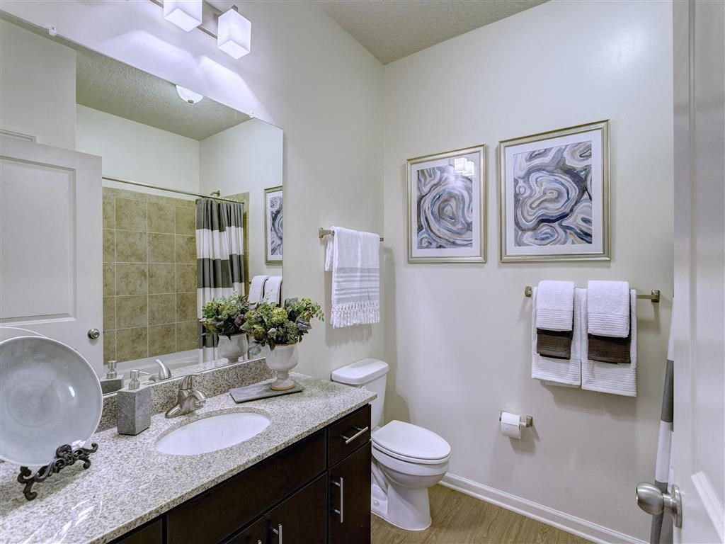 a bathroom with a sink and a toilet and a mirror