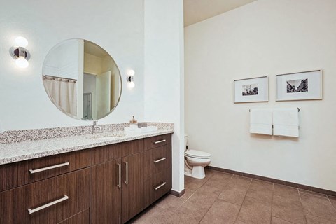 a bathroom with a sink and a toilet and a mirror