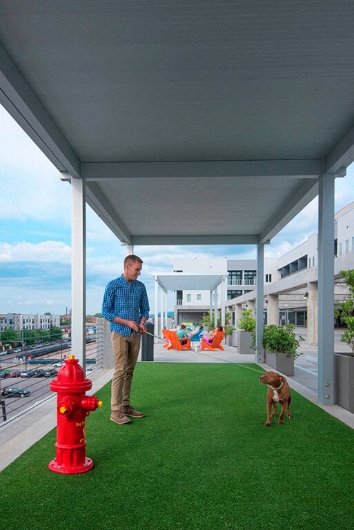 a man standing on a porch with a dog and a fire hydrant