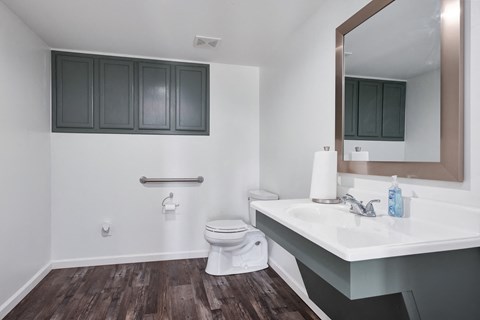 a bathroom with a toilet and a sink and a mirror