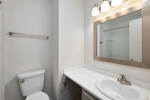 a bathroom with a sink and a mirror and a toilet