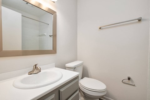 a bathroom with a sink and a toilet and a mirror