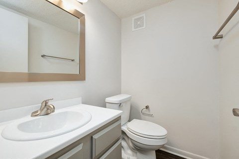 a bathroom with a sink and a toilet and a mirror