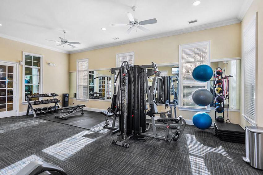 Resistance Training Equipment at Tapestry Park in Chesapeake, Virginia Cardio equipment at Tapestry Park, Virginia