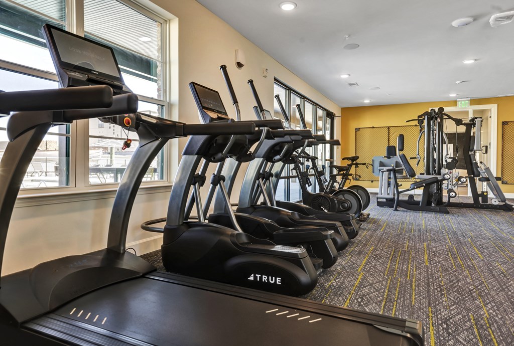 Cardio and Resistance Equipment in Fitness Center at Artisan Flats Apartments in Birmingham, AL