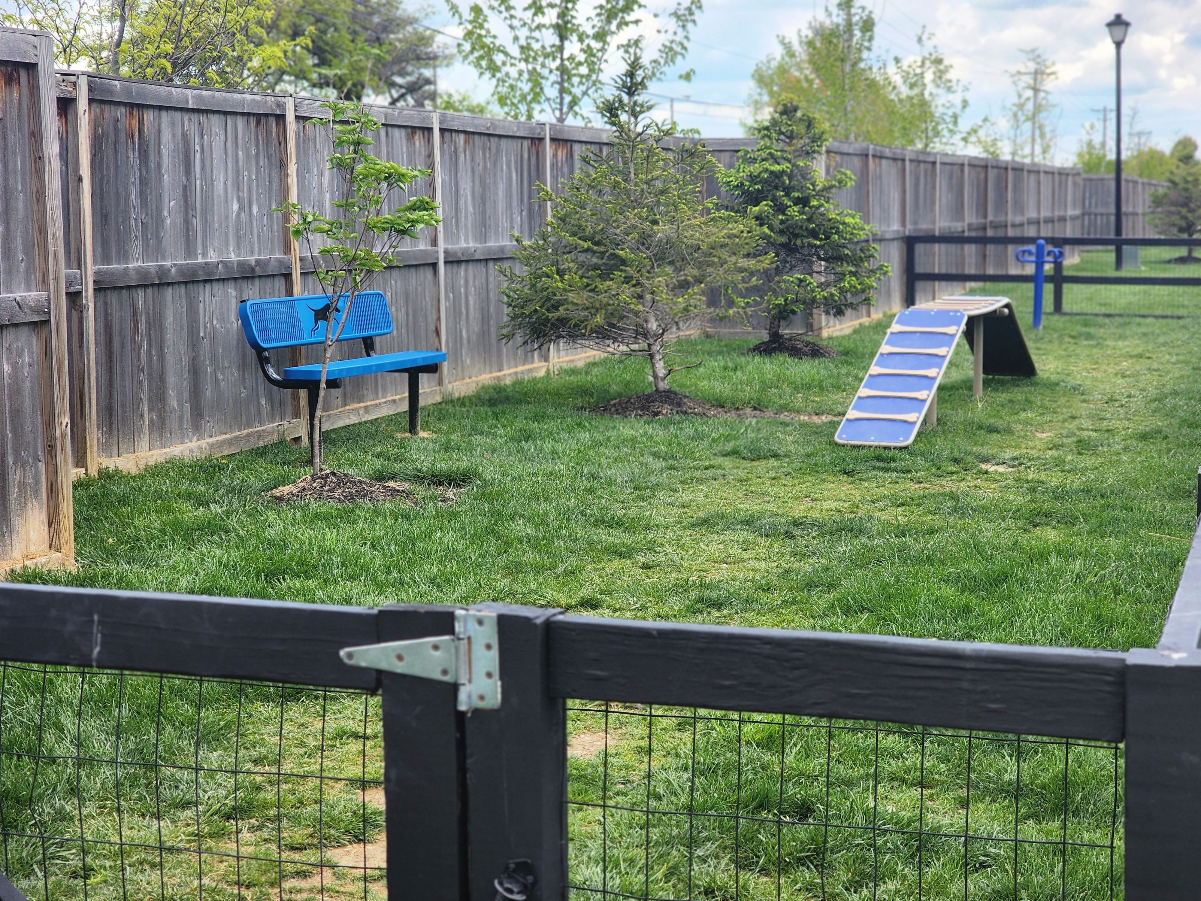 a backyard with a bench and a trampoline