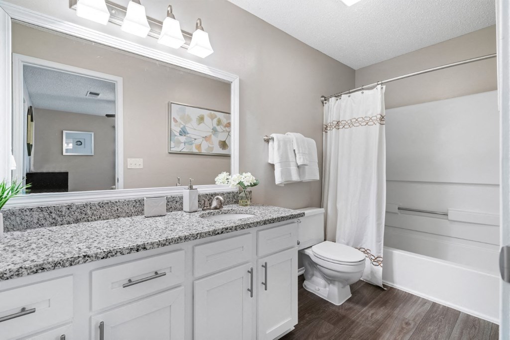 Bathroom features granite counters, wood-look flooring and vanity lighting at Summerchase at Riverchase in Hoover, Alabama