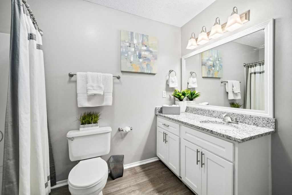 Bathroom features granite counters, wood-look flooring and vanity lighting at Summerchase at Riverchase in Hoover, Alabama