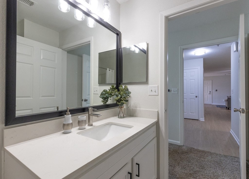 a bathroom with a large mirror and a sink