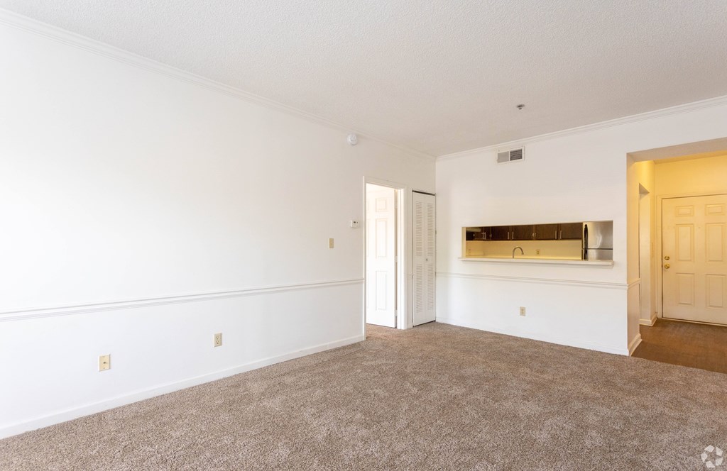 A room with white walls and a carpeted floor.