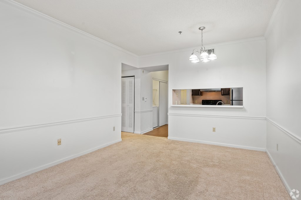 A room with white walls and a carpeted floor.