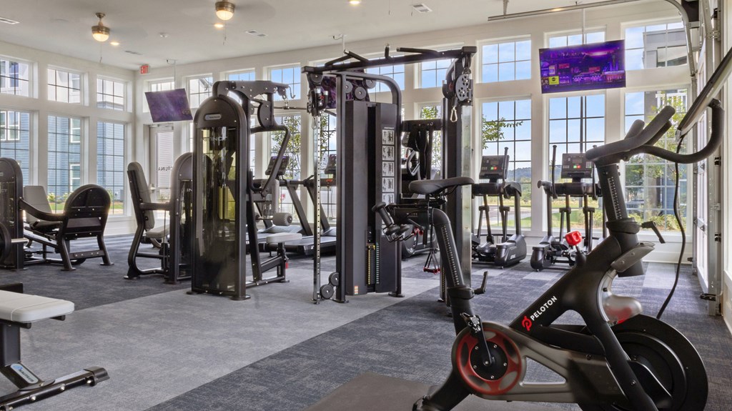 A gym with a variety of equipment including treadmills, stationary bikes, and weight machines.